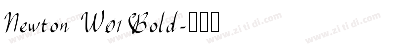 Newton W01 Bold字体转换